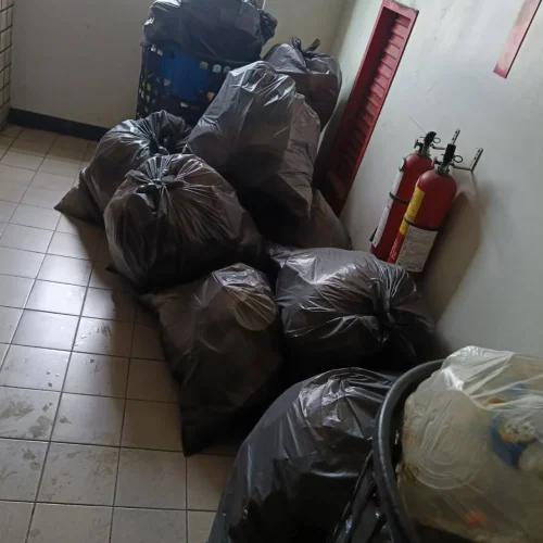 帥老爸清運工作照-5