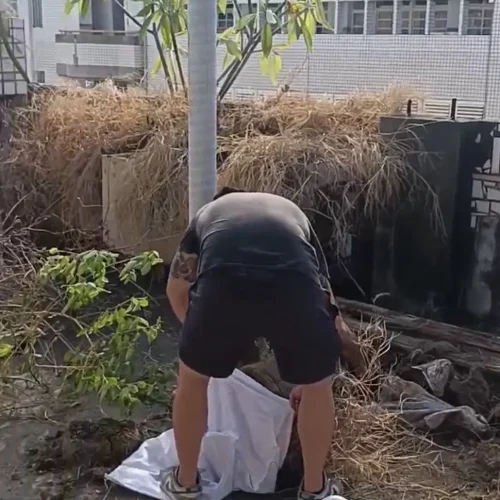 帥老爸清運工作照-8